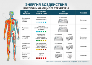 СКЭНАР-1-НТ (исполнение 01)  в Златоусте купить Медицинский интернет магазин - denaskardio.ru 