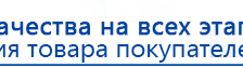 СКЭНАР-1-НТ (исполнение 01)  купить в Златоусте, Аппараты Скэнар купить в Златоусте, Медицинский интернет магазин - denaskardio.ru
